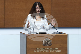 Народно събрание - заседание