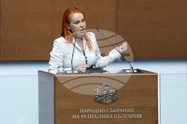 Народно събрание - заседание