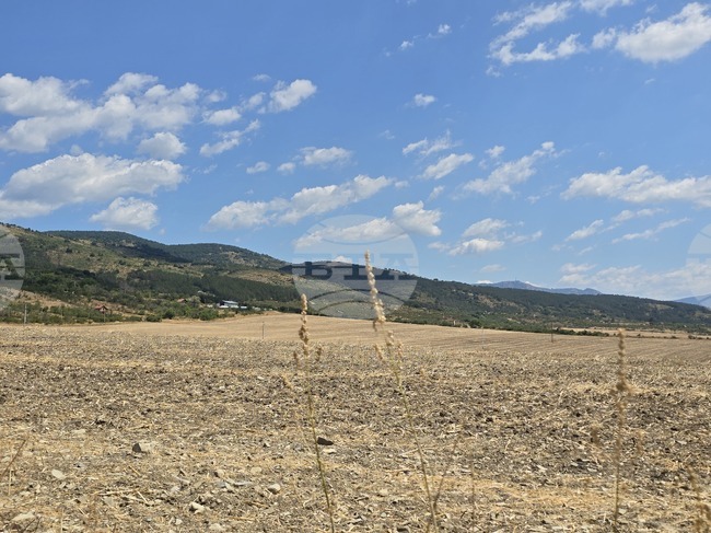 Земеделската земя в Сливен поскъпва с 18,3 на сто през 2024 г., докато средният наем на декар намалява с 5,7 на сто