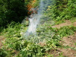 Снимка: ГД „Гранична полиция“