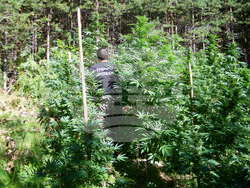 Снимка: ГД „Гранична полиция“