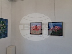 Троян - изложба „Разговор за градини и поляни” - Пепа Църова