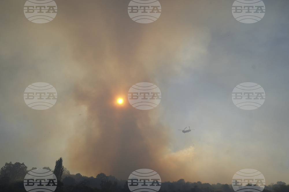 Cyprus Wildfire