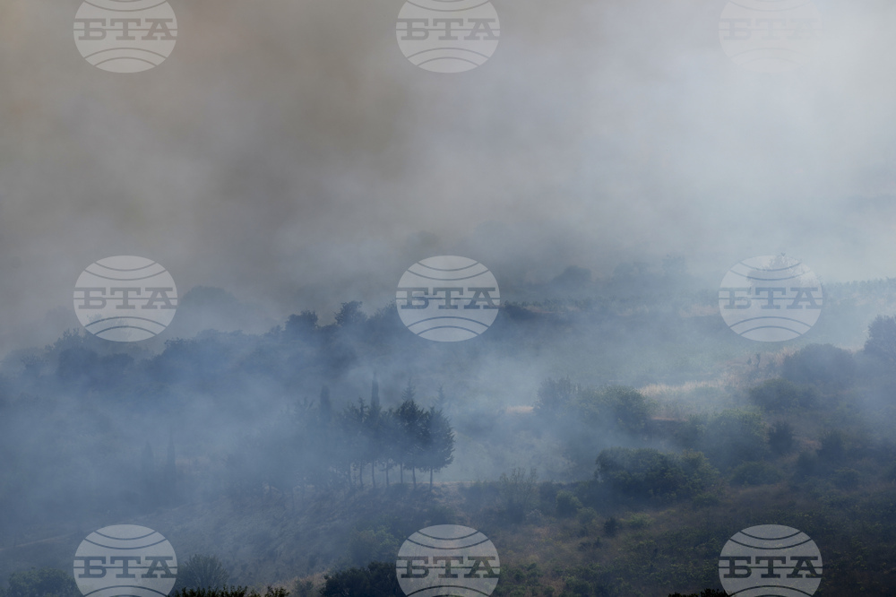 Cyprus Wildfire