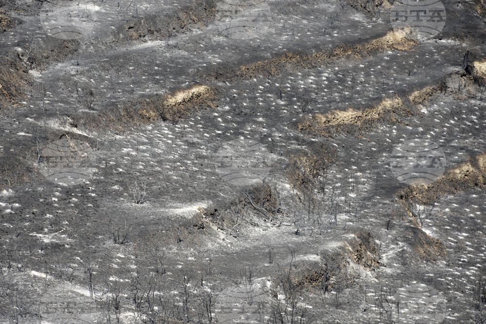 Cyprus Wildfire