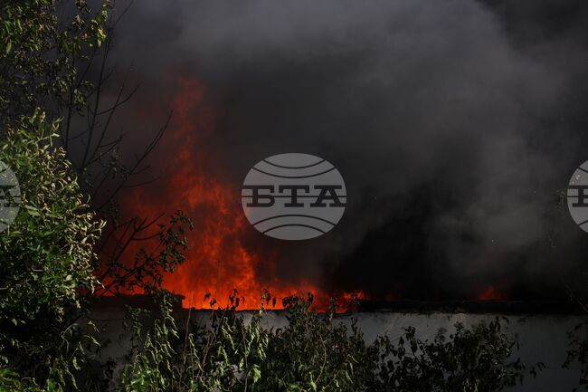 Пожар гори в гората над великотърновския квартал „Чолаковци“, задействана е системата за предупреждение BG-ALERT