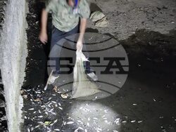 Снимка: Община Стара Загора