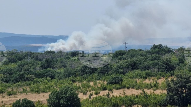 Bulgaria Is EU Member State Worst Hit by Fires in 2024 and 2025