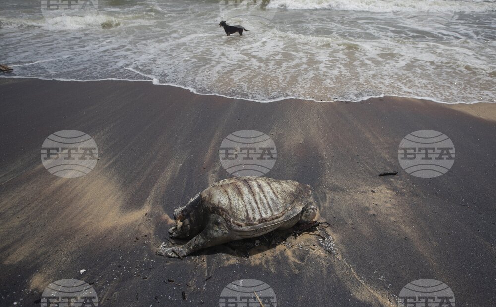 Sri Lanka Ship Pollution