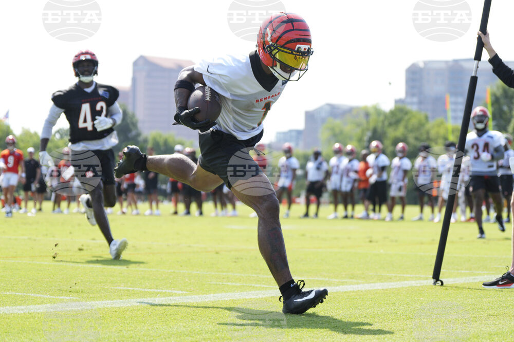 Bengals Camp Footba;