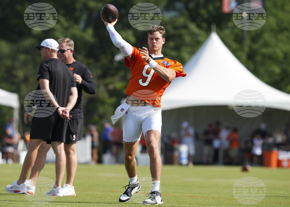 Bengals Football