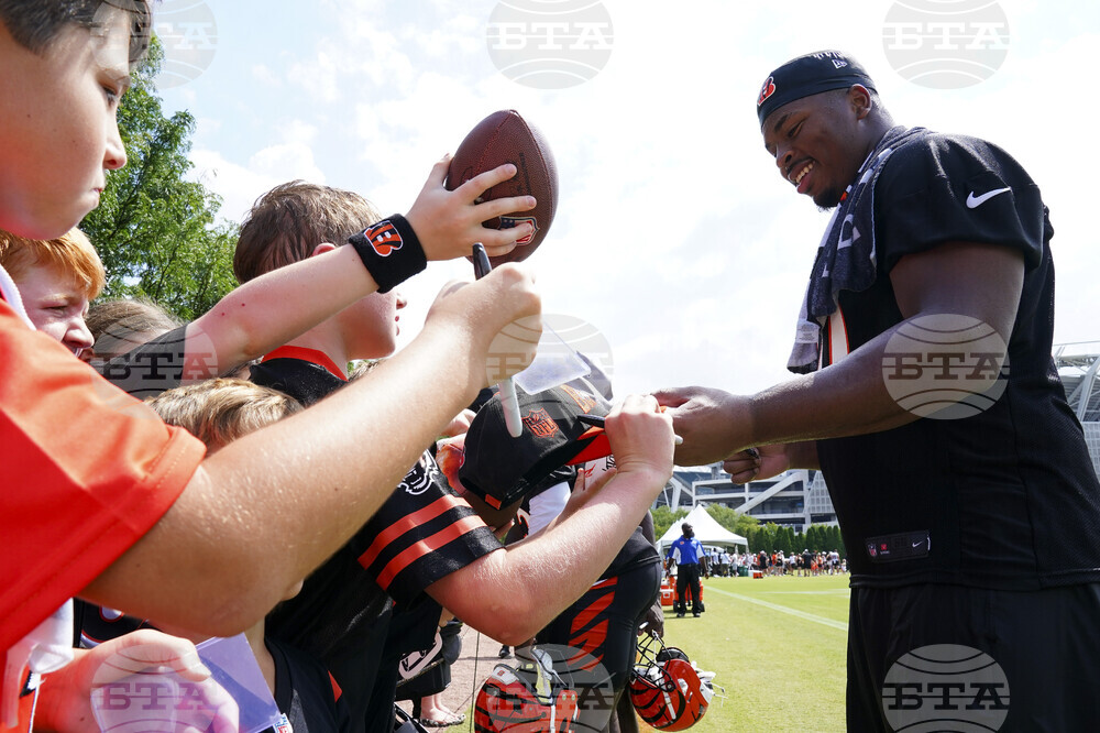 Bengals Football