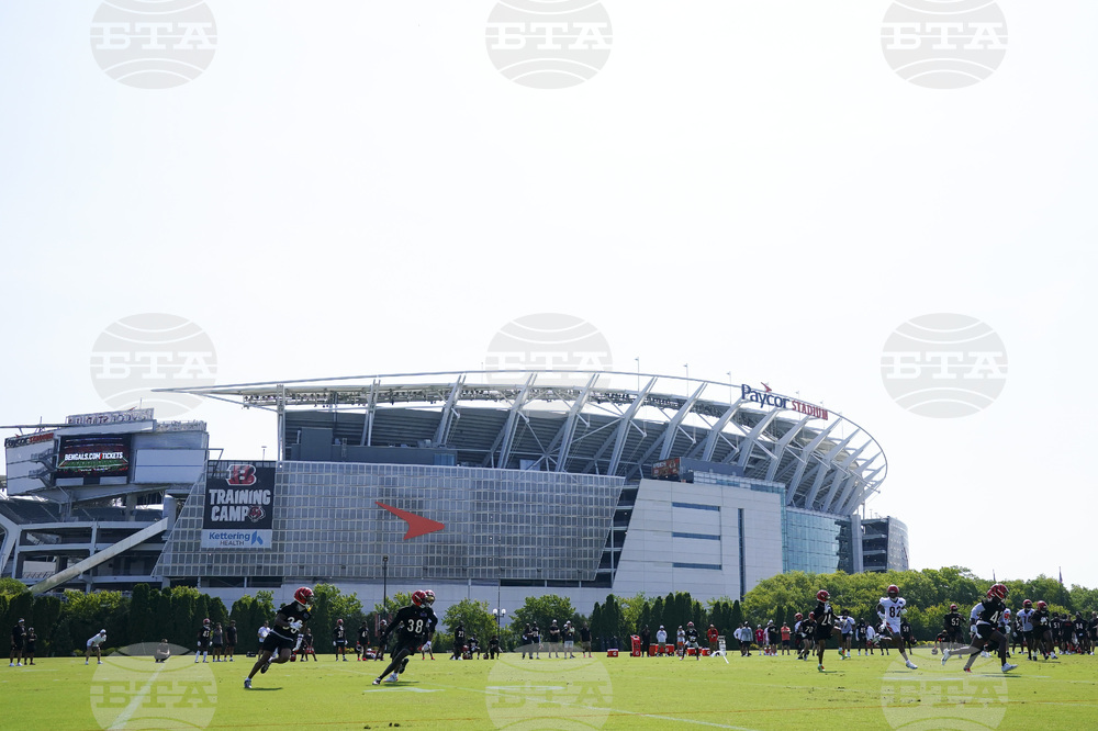 Bengals Football