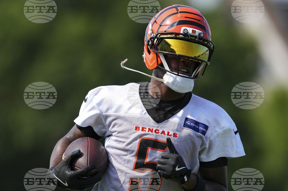 Bengals Camp Football