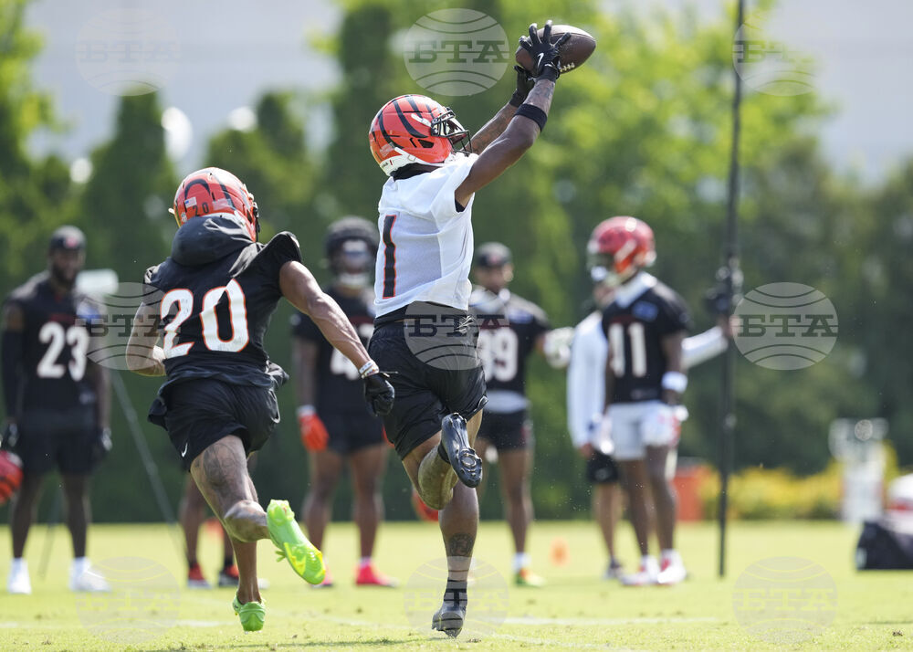 Bengals Camp Football