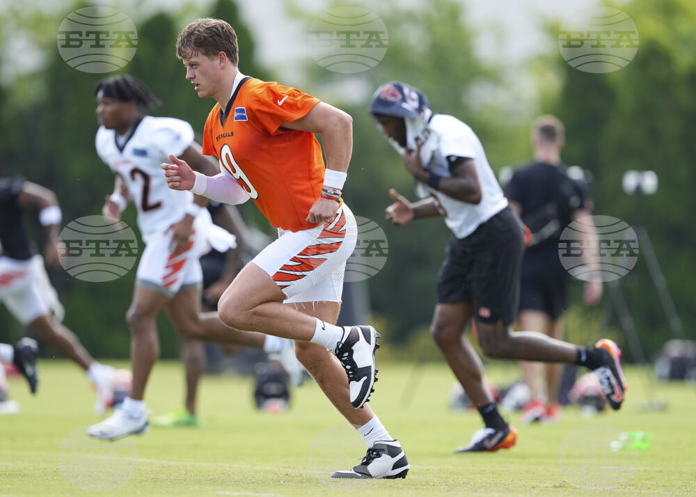 Bengals Camp Football