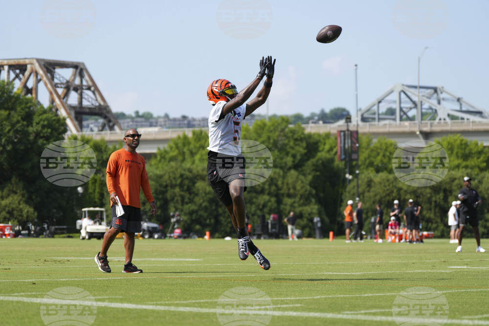 Bengals Camp Football