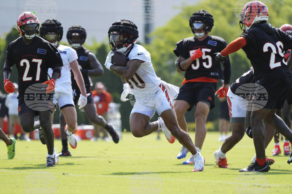 Bengals Camp Football