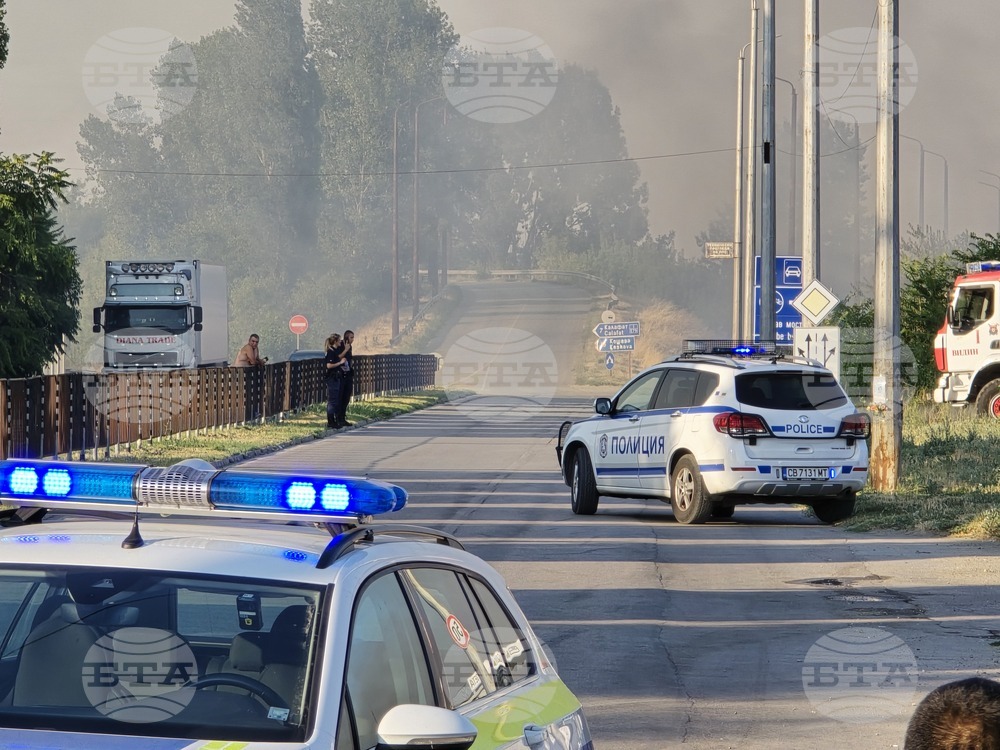 Видин - пожар