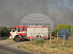 Видин - пожар