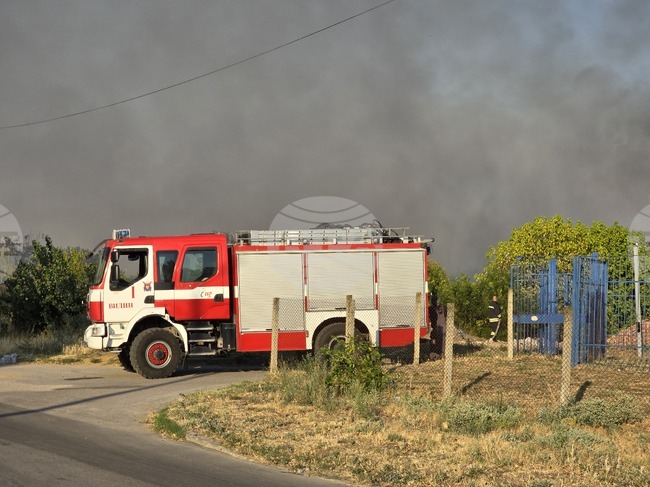 Изгасен е пожарът във видинската северна промишлена зона, съобщиха от Областната дирекция на МВР