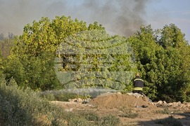 Видин - пожар