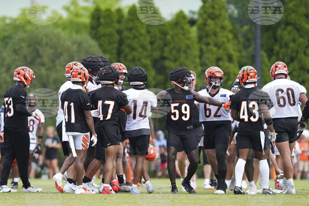 Bengals Camp Football