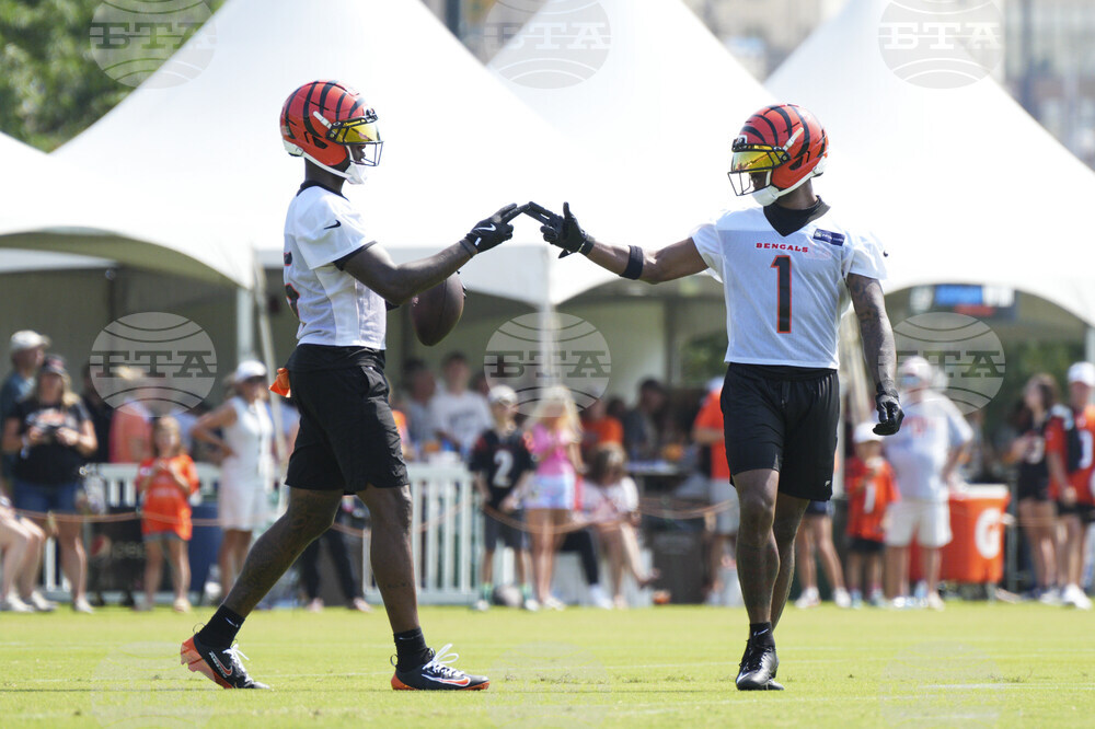 Bengals Camp Football