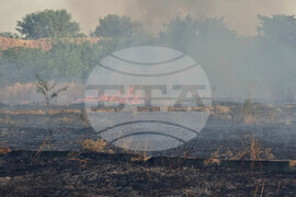 Видин - пожар