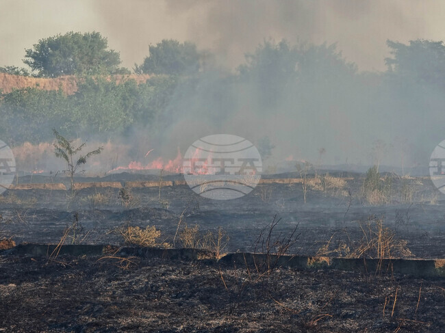 Пожар е избухнал в района на каварненското село Белгун, три необитаеми къщи са изгорели извън селото