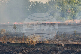 Видин - пожар