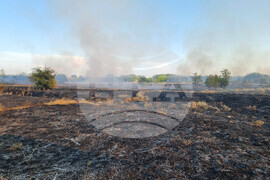 Видин - пожар