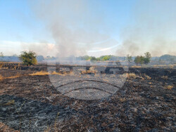 Видин - пожар