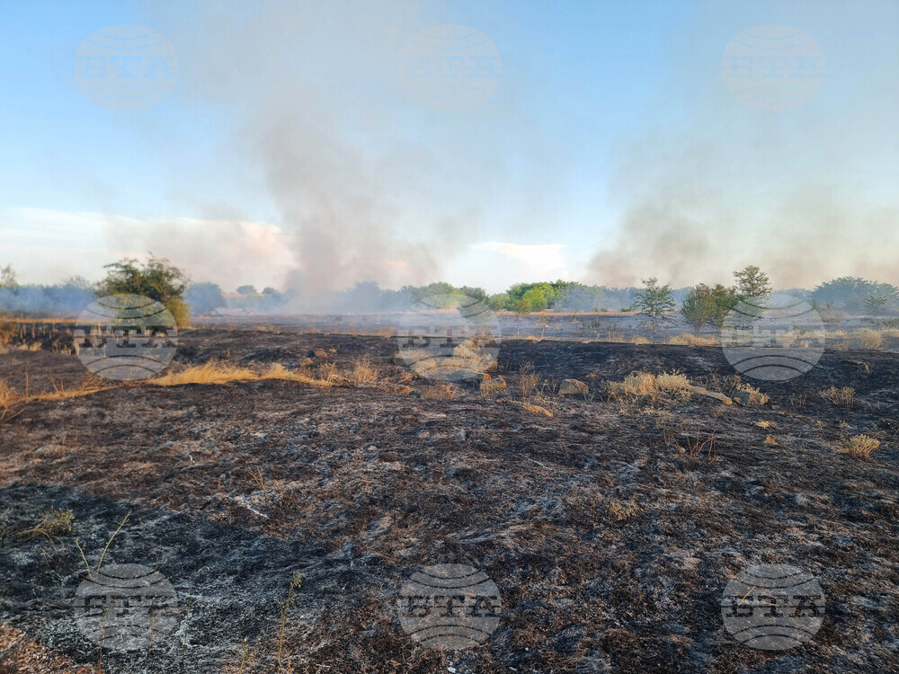 Видин - пожар