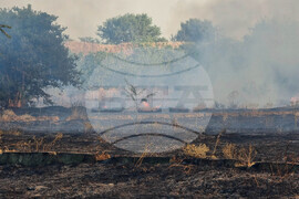 Видин - пожар