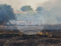 Видин - пожар