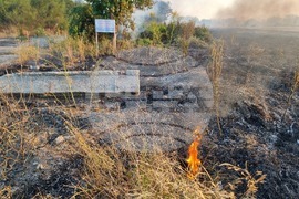 Видин - пожар