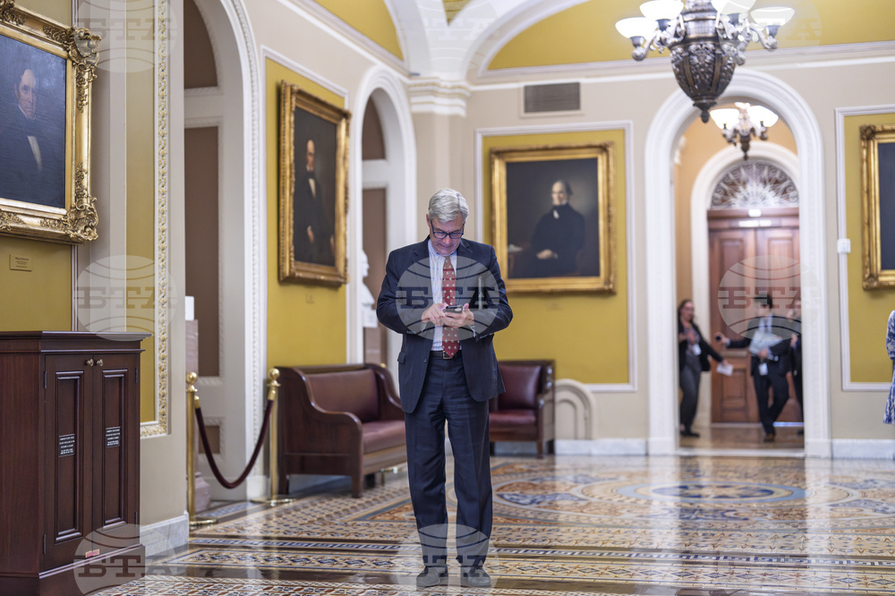 Senate Judges Bove