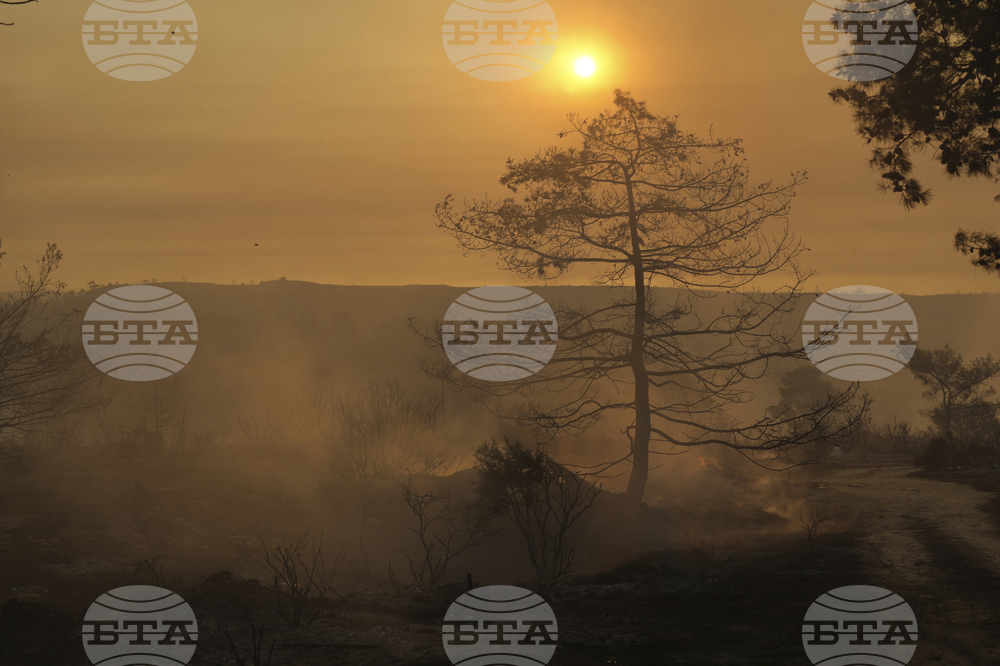 Cyprus Wildfire