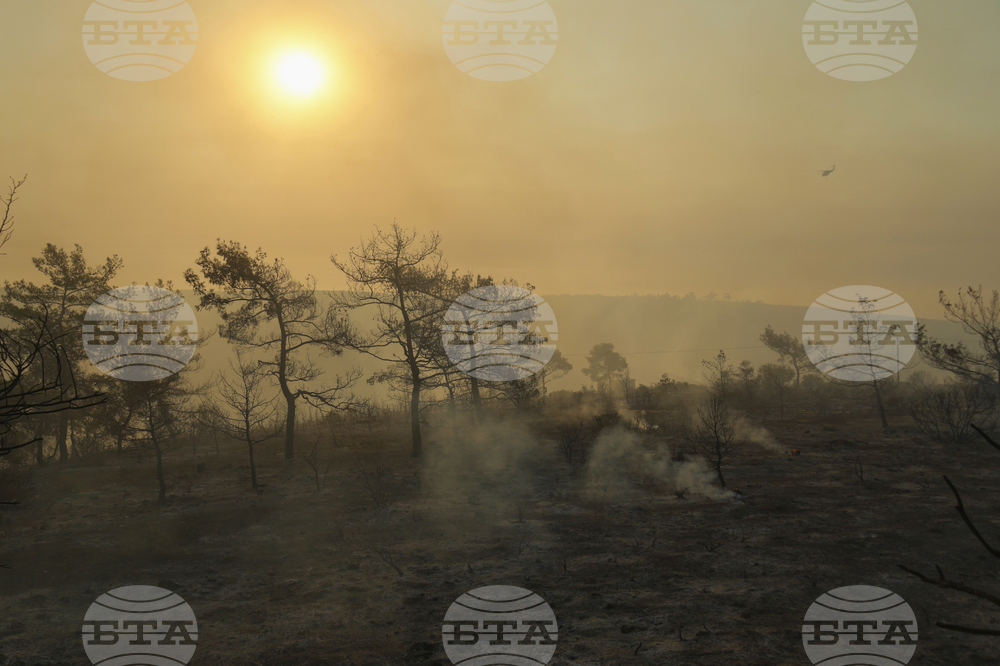 Cyprus Wildfire