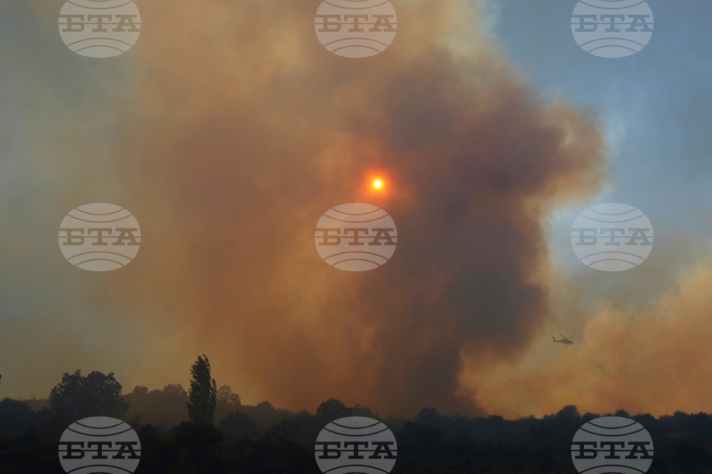 Cyprus Wildfire