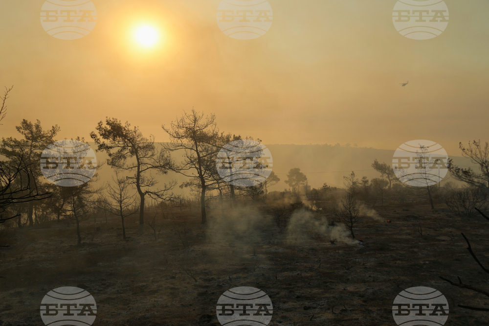 Cyprus Wildfire