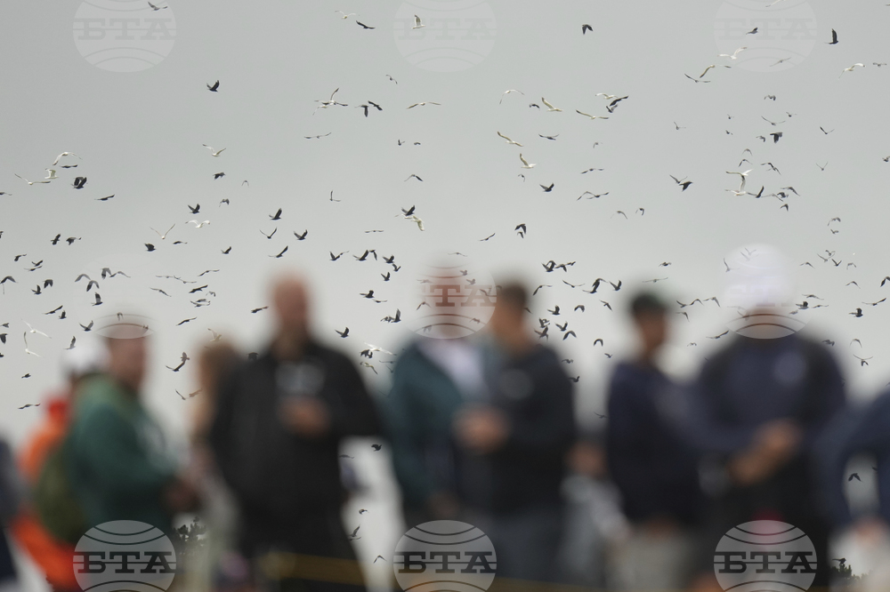 AP-Pictures-of-the-Week-Global-Photo-Gallery