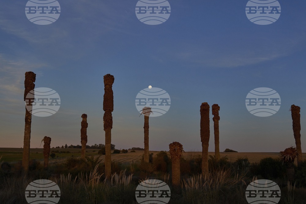 Pictures of the Week Latin America and Caribbean Photo Gallery