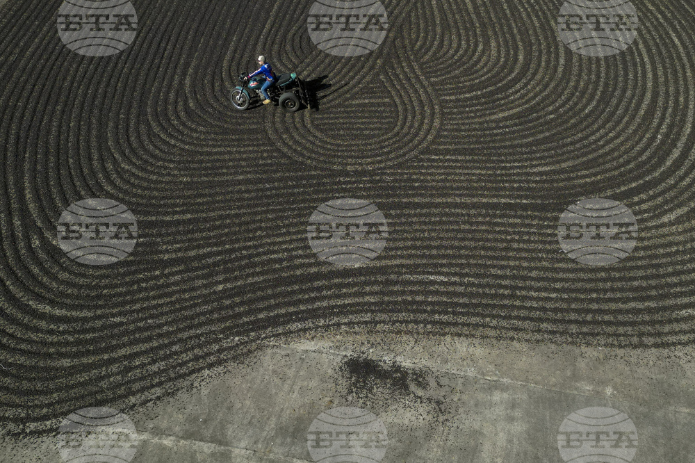 Pictures of the Week Latin America and Caribbean Photo Gallery