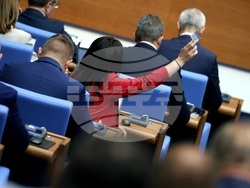 Парламент - заседание