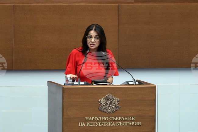 Народното събрание одобри процедурните правила, по които ще се номинира и избира заместник на омбудсмана