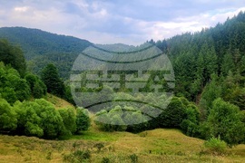 Село Могилица - изглед