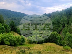 Село Могилица - изглед