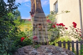 Село Могилица - изглед